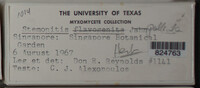 Image Associated With the Occurence
